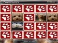                                                                     Puppies Memory קחשמ