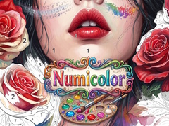                                                                     Numicolor קחשמ