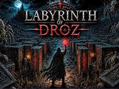                                                                     Labyrinth of Droz קחשמ