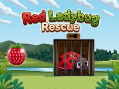                                                                     Red Ladybug Rescue קחשמ