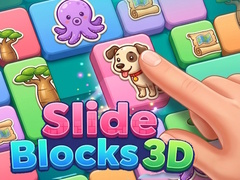                                                                       Slide Blocks 3D ליּפש