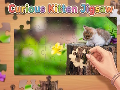                                                                     Curious Kitten Jigsaw קחשמ