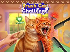                                                                       Brush Cat Challenge  ליּפש