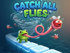                                                                     Catch All Flies קחשמ