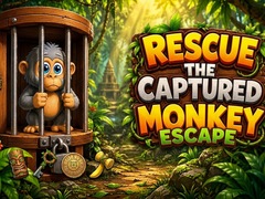                                                                     Rescue the Captured Monkey Escape קחשמ