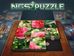                                                                     NGS Puzzle קחשמ