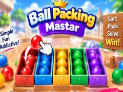                                                                       Packing Master Puzzle ליּפש
