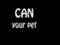                                                                     Can Your Pet קחשמ