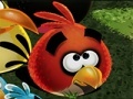                                                                     Angry Birds Save קחשמ