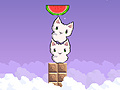                                                                     Cat cat watermelon קחשמ