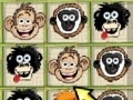                                                                     Monkey Munch קחשמ