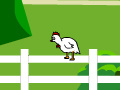                                                                     Chicken Impossible קחשמ