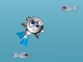                                                                     Cat - diver קחשמ