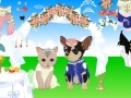                                                                     Pet Wedding Dress up קחשמ