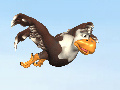                                                                     Koko Crazy Chicken קחשמ