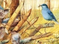                                                                     Art Painting Bird Puzzles קחשמ