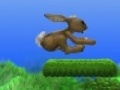                                                                     Jumping funny bunny קחשמ