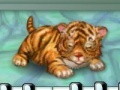                                                                     My tiger קחשמ