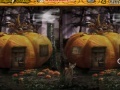                                                                     The Pumpkin House קחשמ