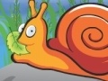                                                                     Hungry Snail קחשמ
