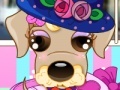                                                                    Puppy Stylist קחשמ