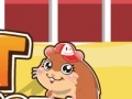                                                                     Pet Hamster קחשמ