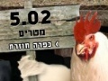                                                                     Steal the eggs קחשמ