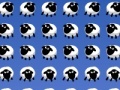                                                                     Sheep invaders קחשמ
