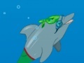                                                                     My Dolphin show קחשמ