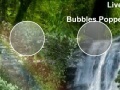                                                                     Super Bubble Popper קחשמ