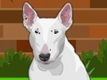                                                                     Dress up Bull Terrier Dog קחשמ