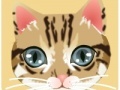                                                                     Fashion cat eyes makeup קחשמ