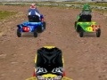                                                                     Lawnmower Racing 3D קחשמ