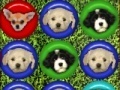                                                                     Cute puppy match קחשמ