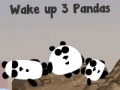                                                                     3 panda 2 night קחשמ