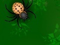                                                                     Spiders attack  קחשמ
