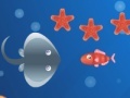                                                                     Star Fish קחשמ
