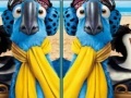                                                                     Rio, spot the difference קחשמ