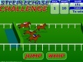                                                                    Steeplechase Challenge קחשמ