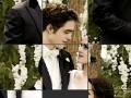                                                                     Wedding Puzzle of Bella and Edward קחשמ