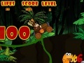                                                                     Donkey Kong race קחשמ