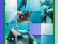                                                                     Ocean and seals slide puzzle קחשמ