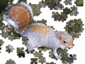                                                                     Jigsaw: Posing Squirrel קחשמ