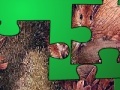                                                                     Animal Puzzle קחשמ