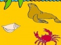                                                                     Seal in the beach coloring קחשמ