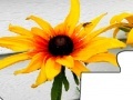                                                                     Jigsaw: Yellow Flower 2 קחשמ