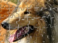                                                                     Pet Puzzles: Dogs קחשמ