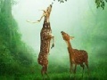                                                                     Deers in the forest slide puzzle קחשמ
