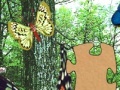                                                                    3D Real Puzzle butterfly קחשמ