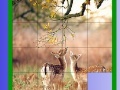                                                                     Two Deer Slide Puzzle קחשמ